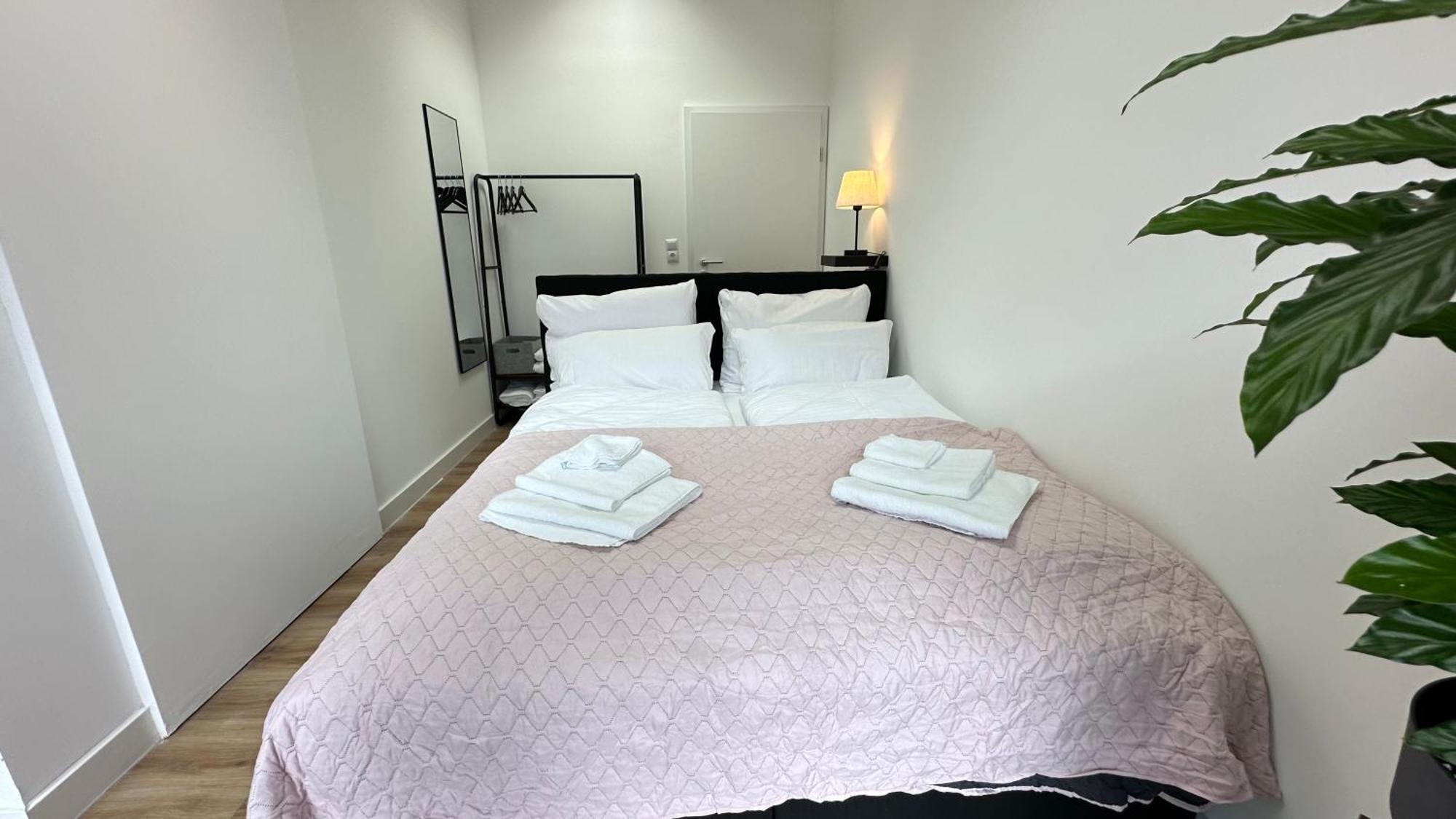 Loft - Sauna - 4 Schlafzimmer - 2 Baeder - Stadtmitte - 2 Parkplaetze Apartment Speyer